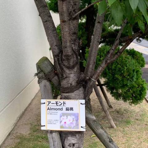 江崎グリコ記念館見学と香取慎吾個展鑑賞の写真