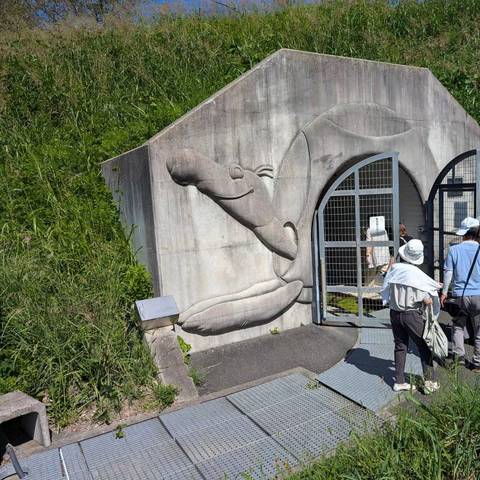 明治地区防災研修 亀の瀬地すべり歴史資料館の写真