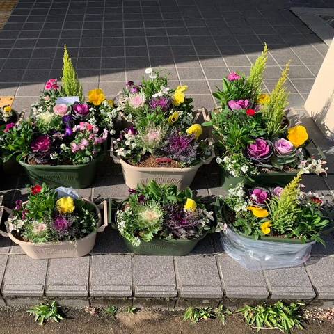 寄せ植え講習会の写真