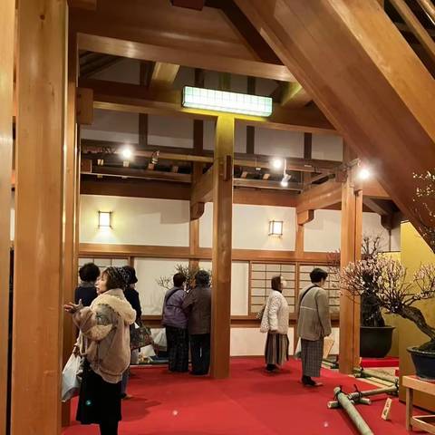 盆梅展鑑賞の写真
