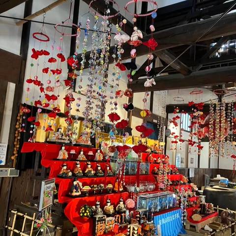 盆梅展鑑賞の写真