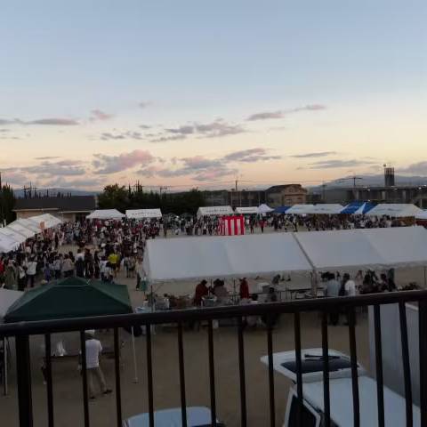 第33回 夏のふれあい大会の写真