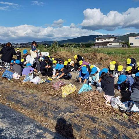 いもほり大会(明治小2年生)の写真