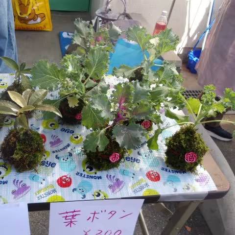 第2回 秋のふれあいフェスタを開催しましたの写真